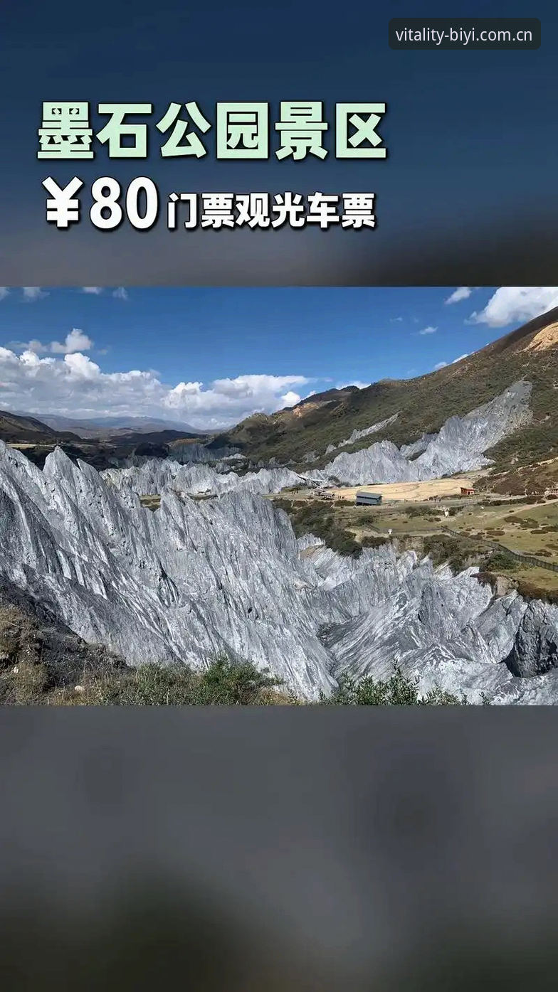 揭秘必一体育平台v3.2.0：技术升级背后的流畅赛事体验真相